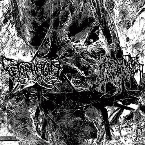 Fetophagia : Fetophagia - Serotonin Leakage